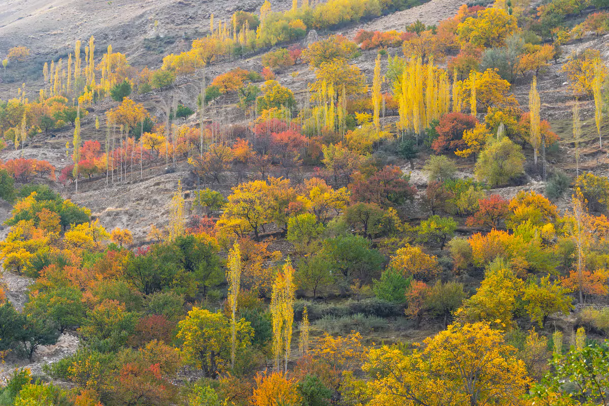 10 Best Photo Locations In Pakistan 8 Top Photo Locations in Pakistan: Nagar Valley - Pakistan Tour n Travel