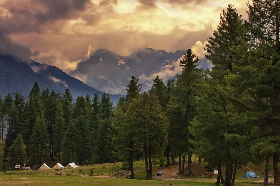 Top 10 Forests In Pakistan – Location, Area Covered, Types 13 Top 10 forests in Pakistan - Rama Forest