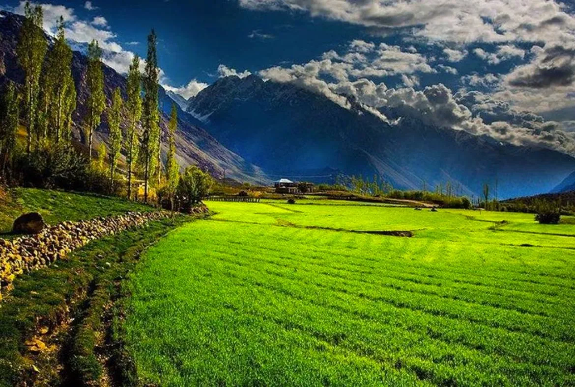Sharan Forest: Unexplored Valley With Magnificent Views 5 Sharan Forest: A Beautiful Place in Kaghan Valley - Pakistan Tour n travel