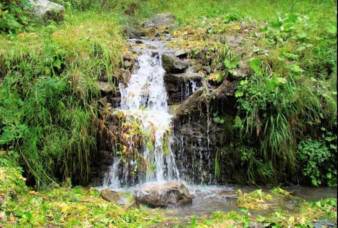 Sharan Forest: Unexplored Valley With Magnificent Views 6 Sharan Forest: A Beautiful Place in Kaghan Valley - Pakistan Tour n travel